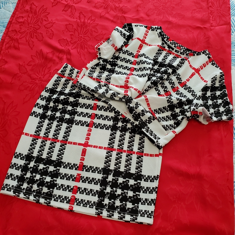 Girl's  skirt set ( new without tag)